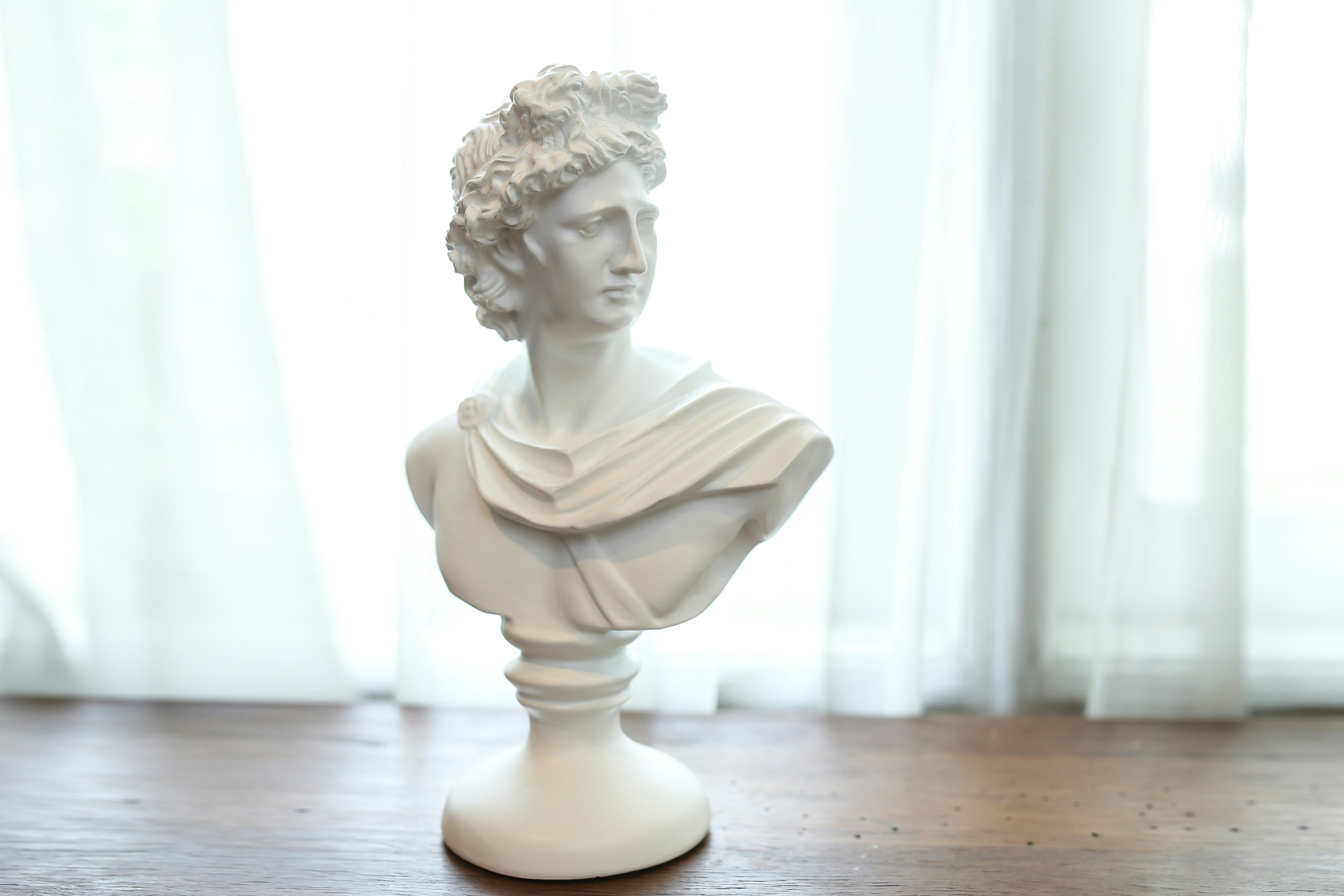 Classical marble bust sculpture